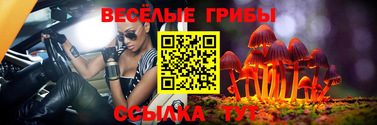 Псилоцибиновые грибы MAGIC MUSHROOMS Белебей